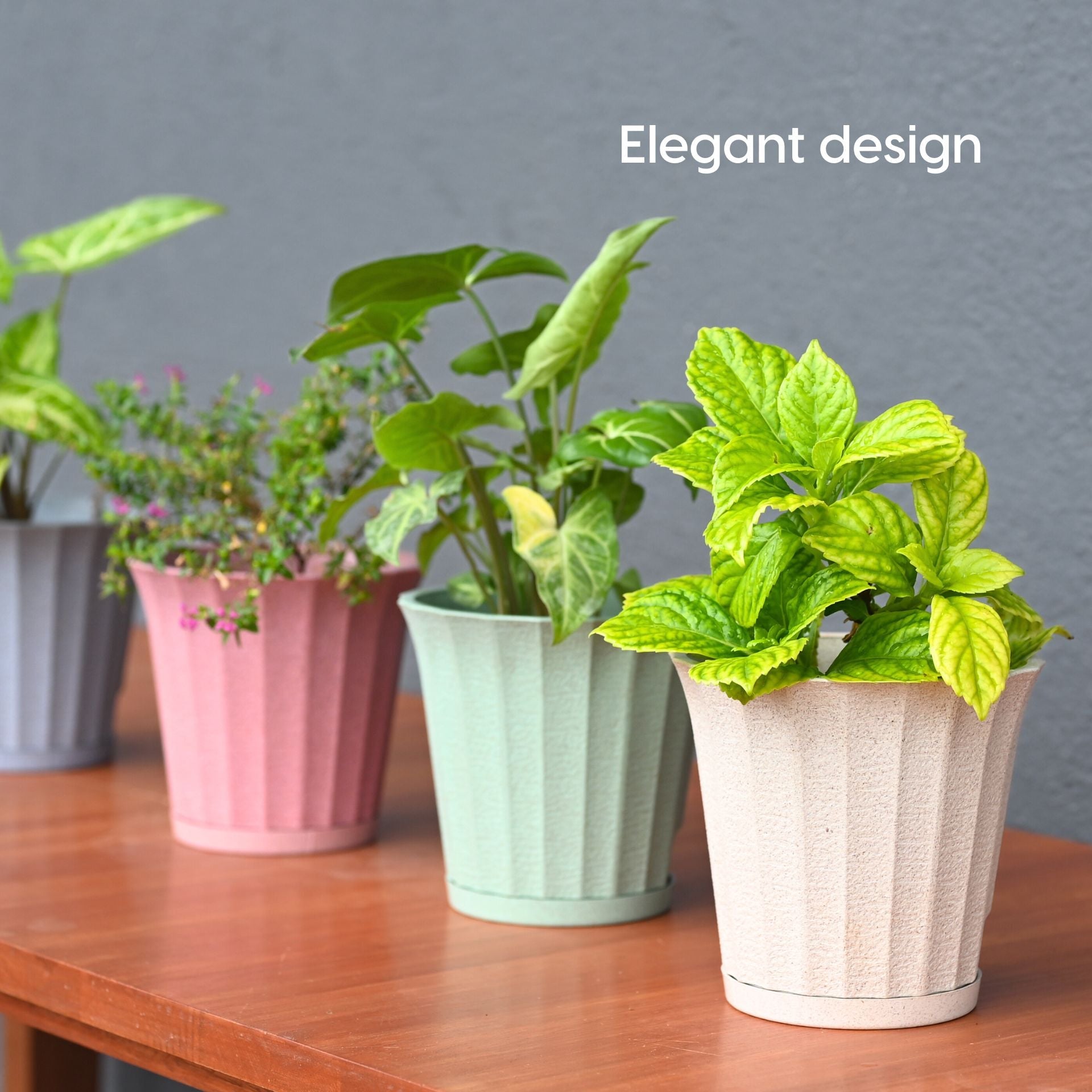 Earth Friendly Ace 5 inch image 7