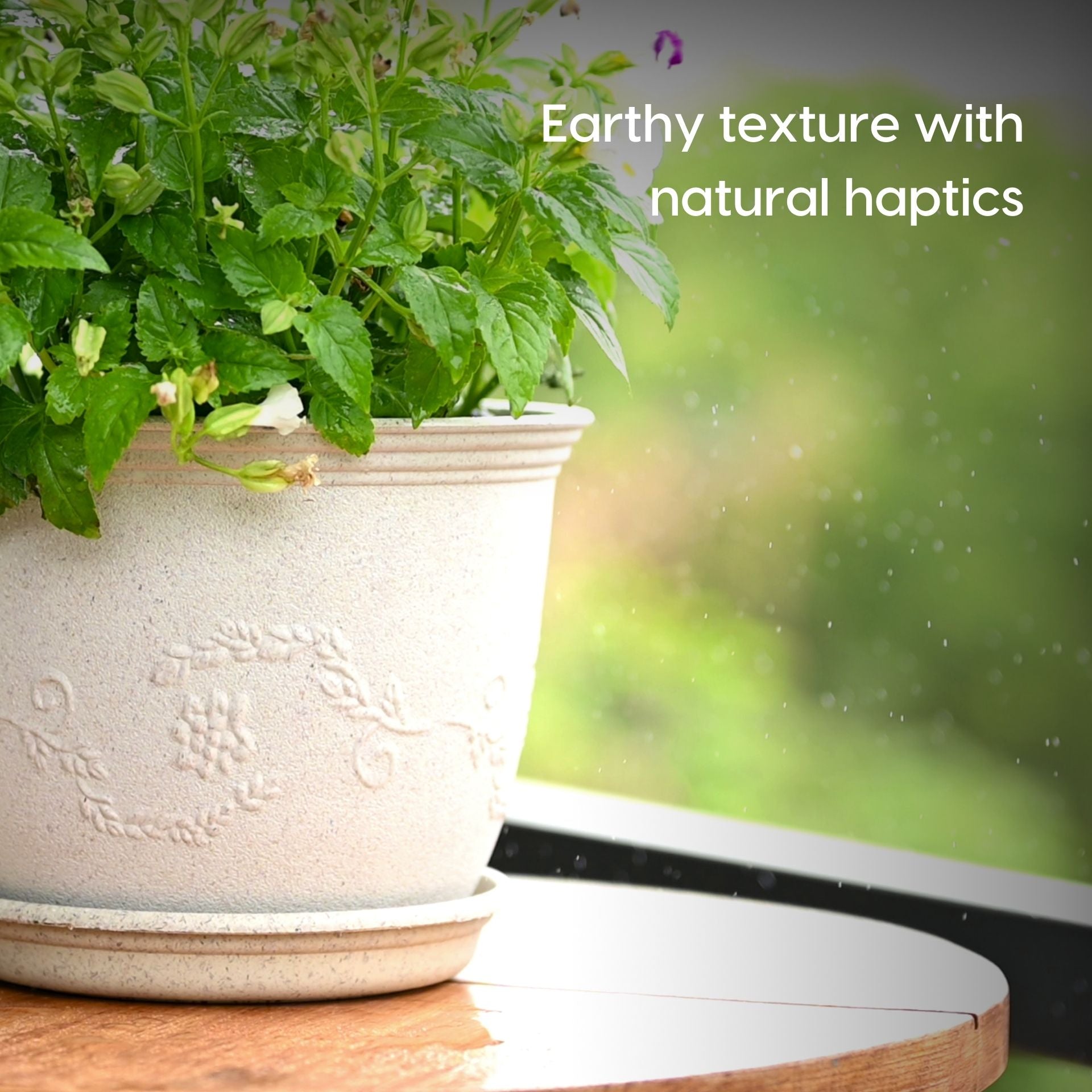 Earth Friendly Planters Leafy 12 image 5