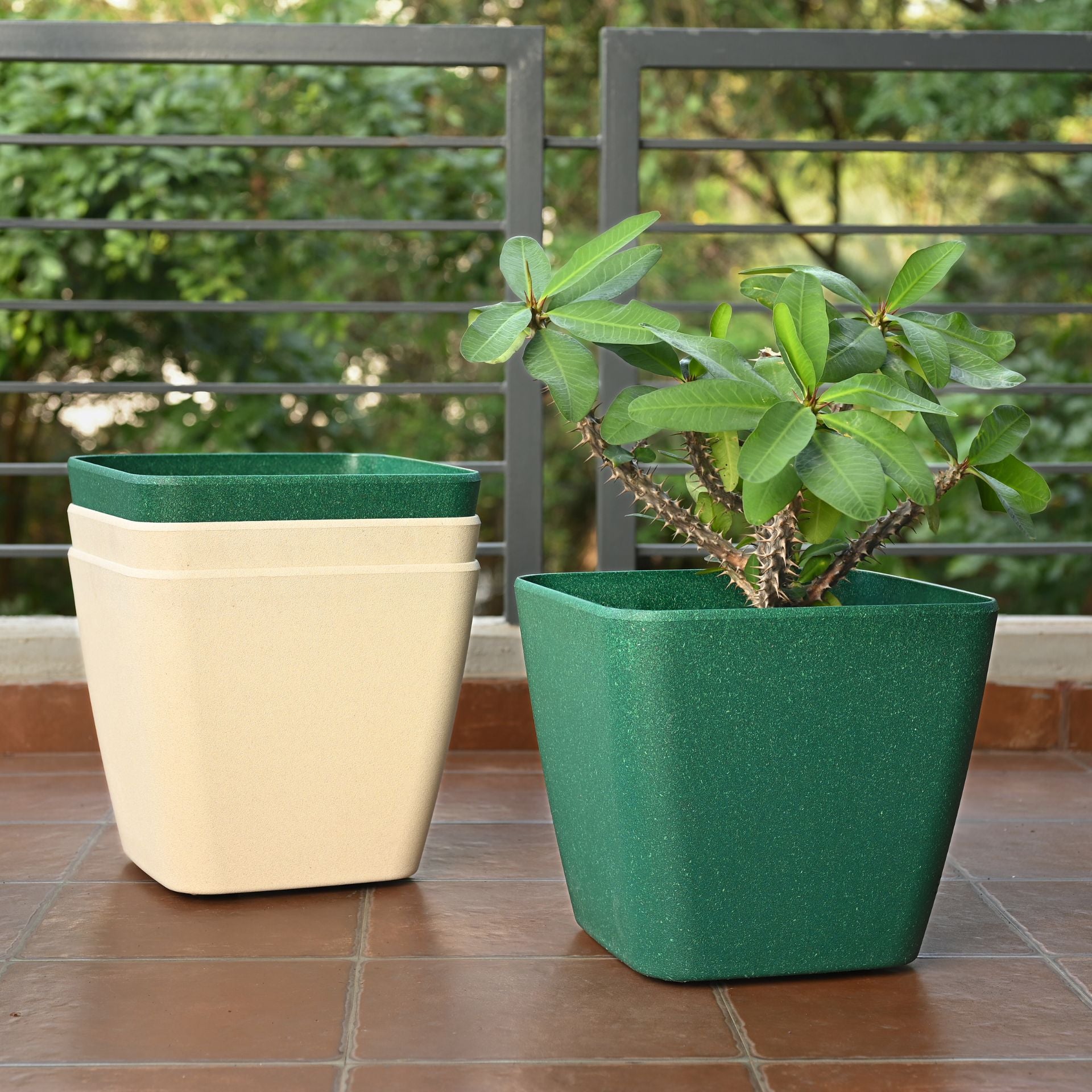 Earth-Friendly Daisy Self Watering Planters 14 Inch set of 4 | Wheeled Planter