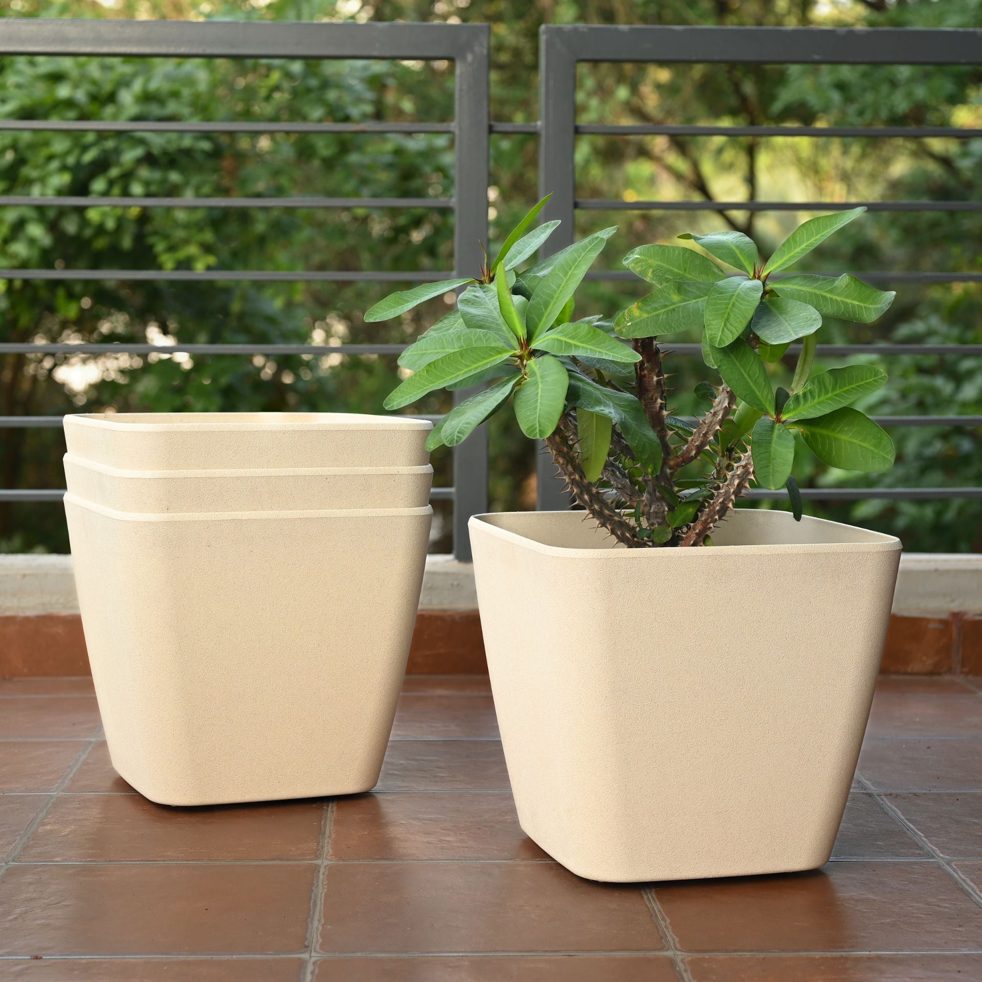 Earth-Friendly Daisy Self Watering Planters 14 Inch set of 4 | Wheeled Planter