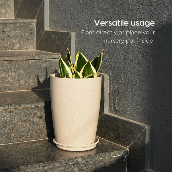 Earth Friendly Cypress 16″ | Set of 2