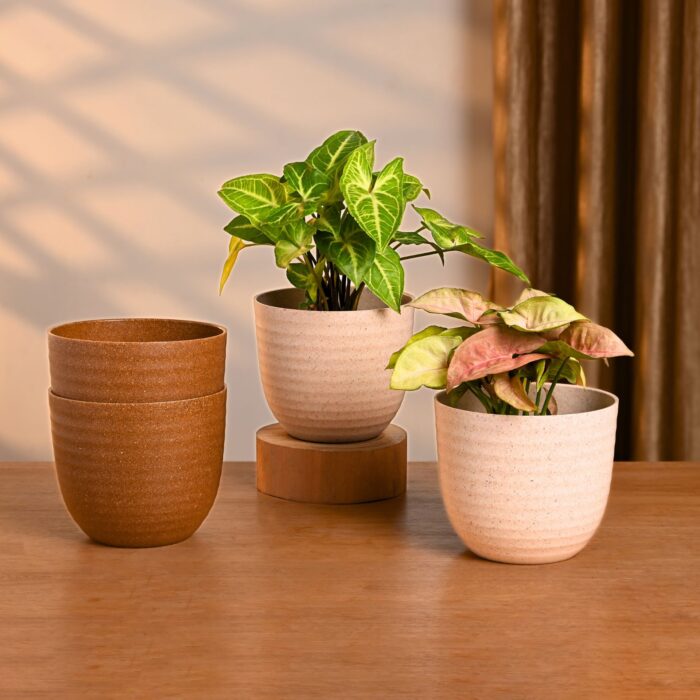 Earth Friendly Planters Verona 4 image 1