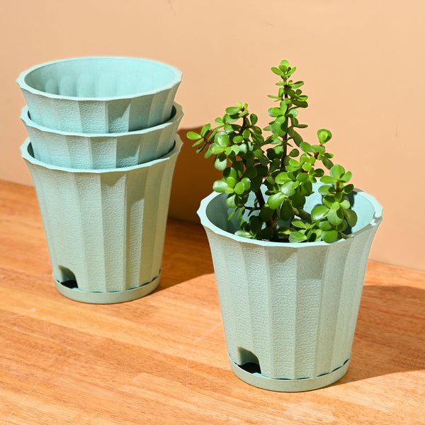 Earth Friendly Ace 7 inch | Set of 4