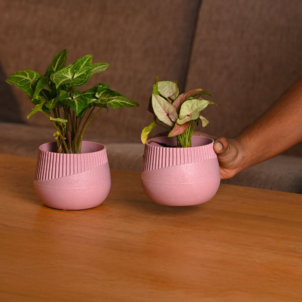 Earth-Friendly Oreo 4 inch small pots | Set of 2