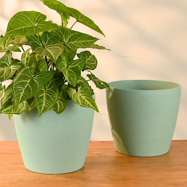 Earth-Friendly Deco Planters 9 Inch set of 2 | Bamboo Based Pots and Planters