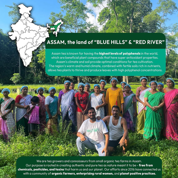 Rare Green Tea + Tulsi | Fresh Harvest