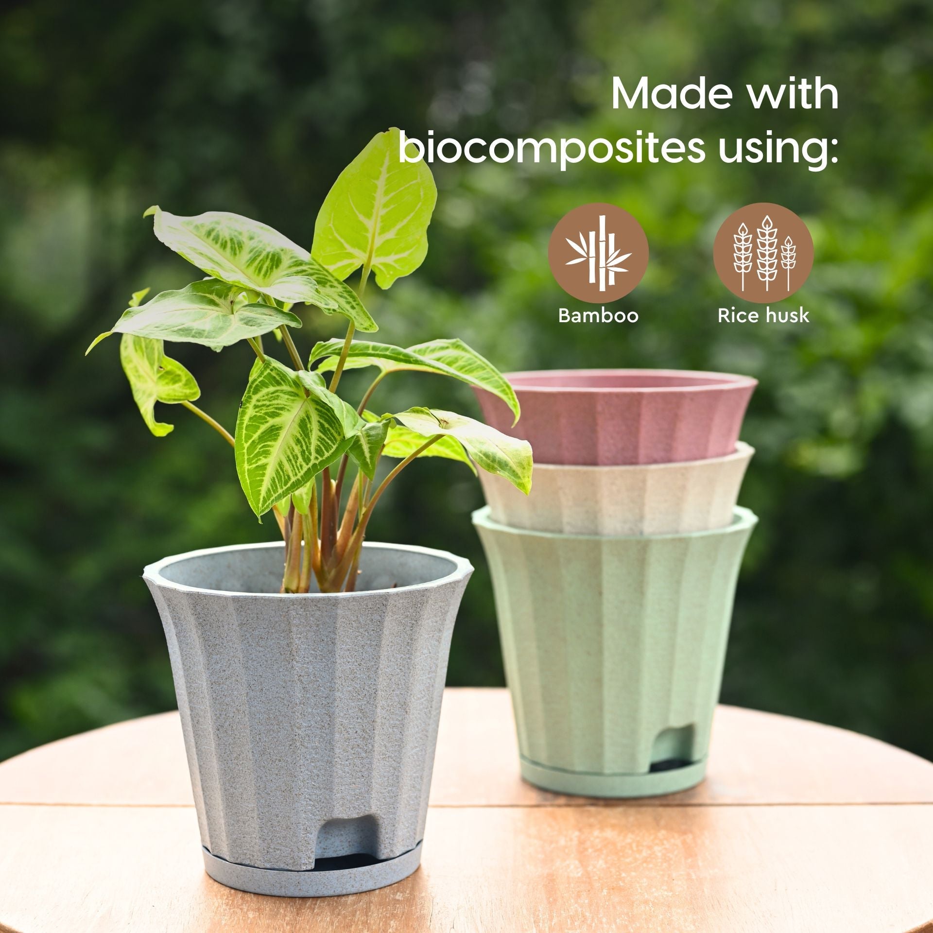 Earth Friendly Ace 5 inch image 3