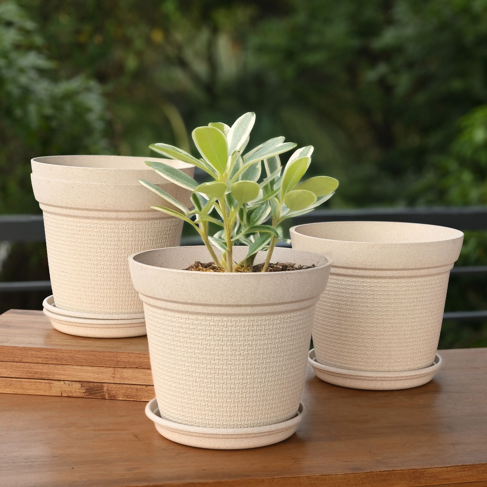 Earth-Friendly Planters Aura 8 Inch set of 4 | Bamboo Based Pots and Planters