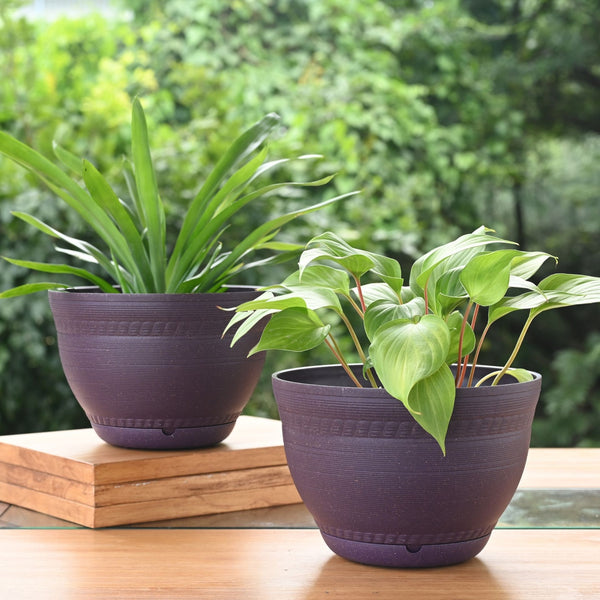 Earth-Friendly 8 inch Ripple Pots & Planters | Set of 2
