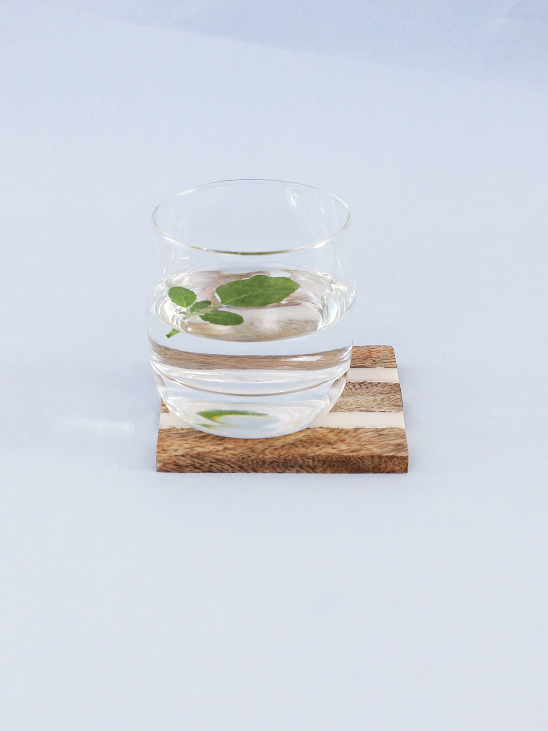 Wood & Resin Coaster Set of 4 - Kavvayi