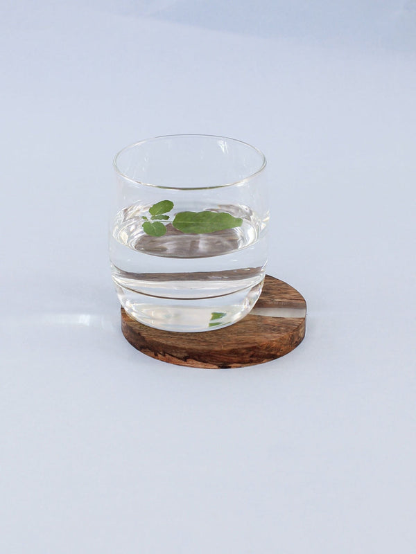 Wood & Resin Coaster Set of 4 - Majuli
