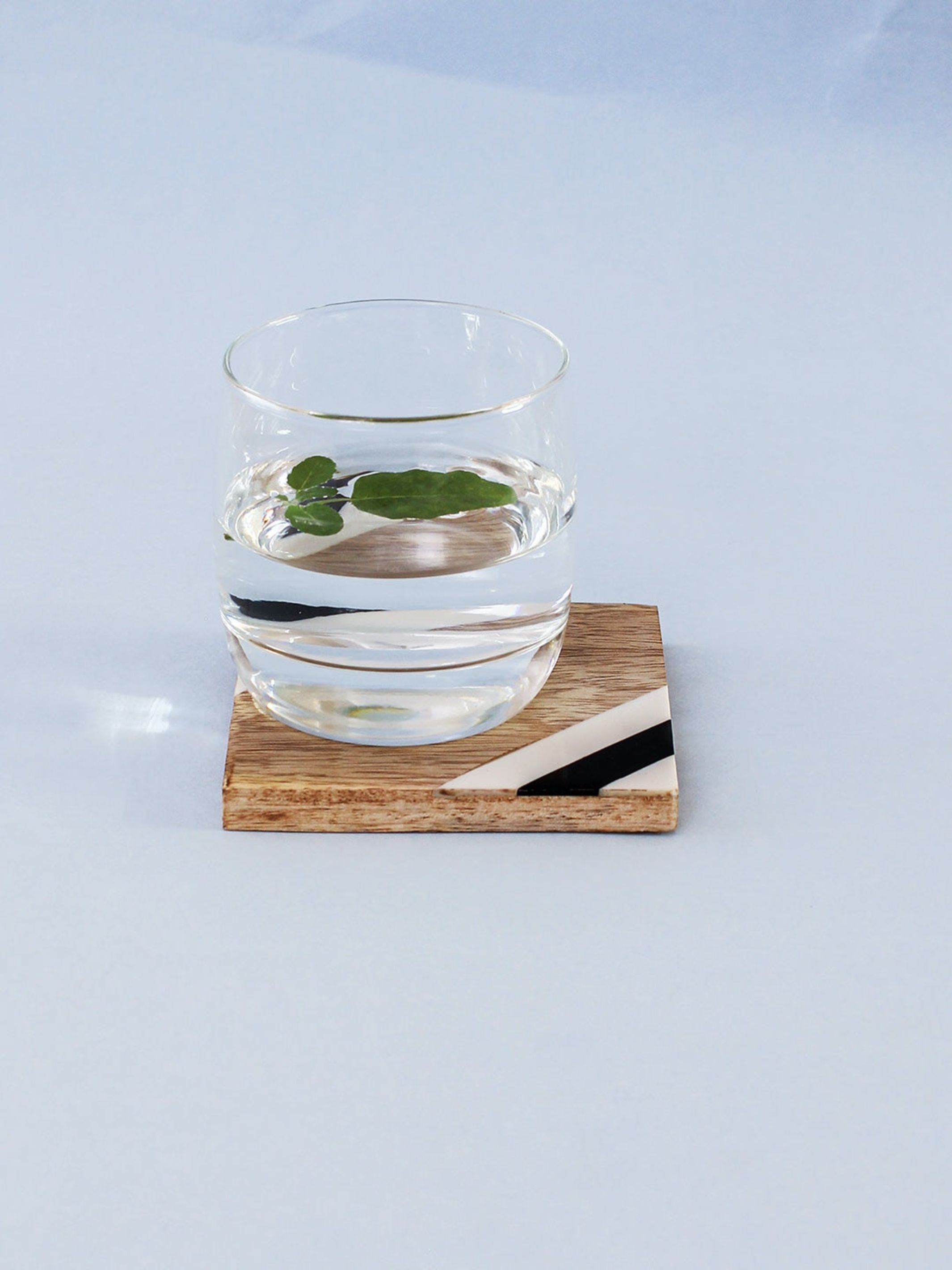 Wood & Resin Coaster Set of 4 - Netrani