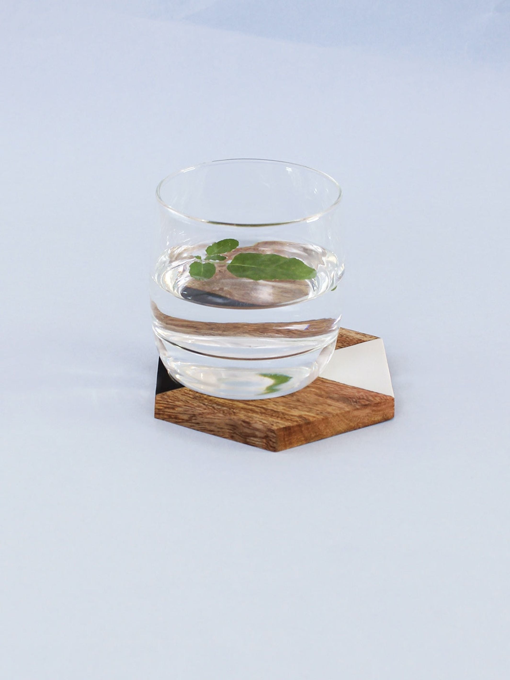 Wood & Resin Coaster Set of 4 - Pamban