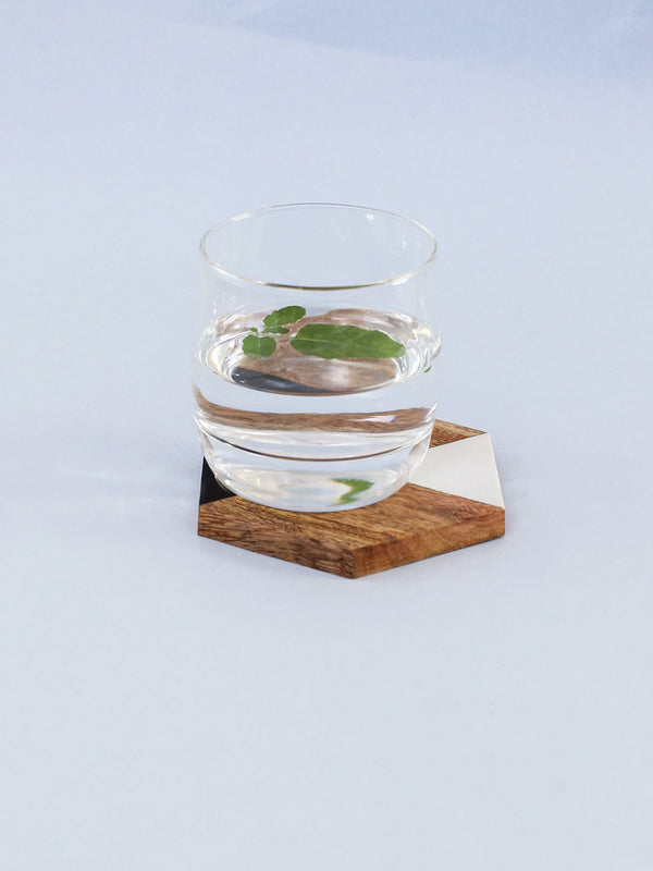 Wood & Resin Coaster Set of 4 - Pamban