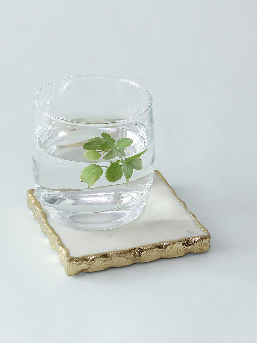 Scallops - Set Of 4 Coasters (White)