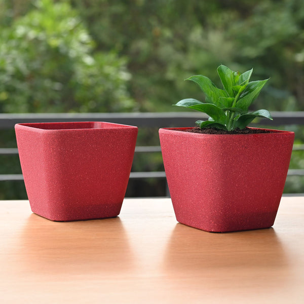 Earth-Friendly Daisy Self Watering Planters 7 Inch set of 2 | Bamboo Based Pots and Planters