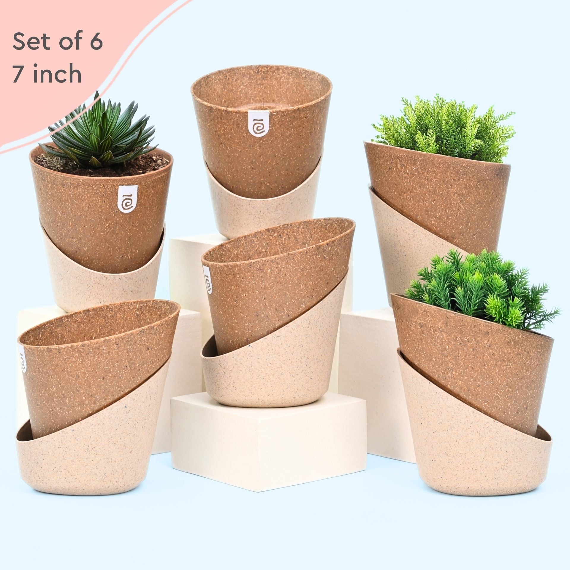 Earth-Friendly Planters EcoBloom 7 Inch set of 6 | Self watering Planters