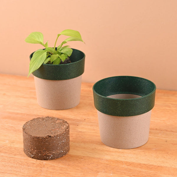 Earth Friendly Ecopod 4 inch Small pots for Indoor Plants with 1 Growmix | Pack of 2