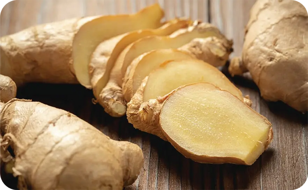 Diabetes Care Green Tea + FREE Refill Pack