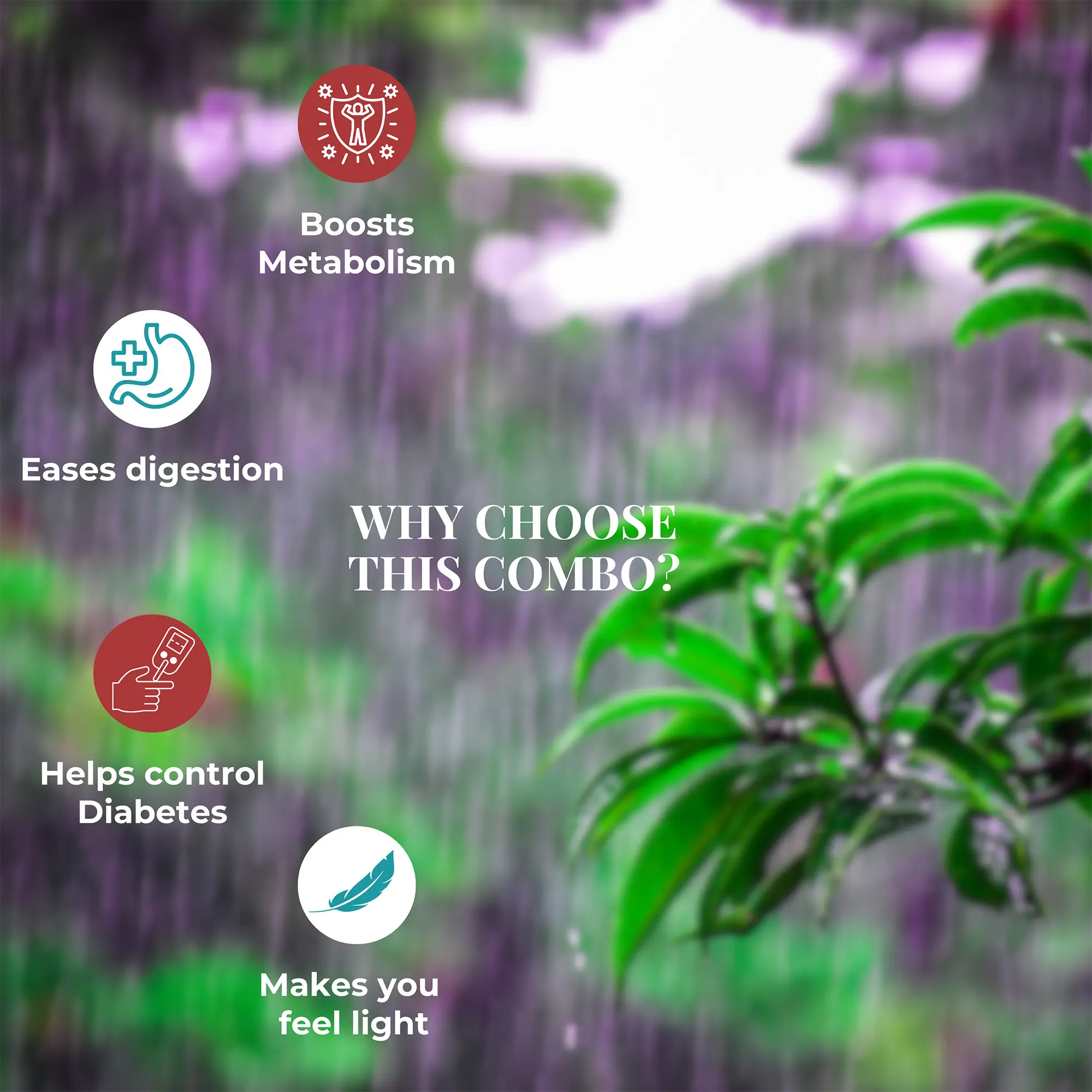 Anti Diabetic combo - Anti diabetic + apple cinnamon