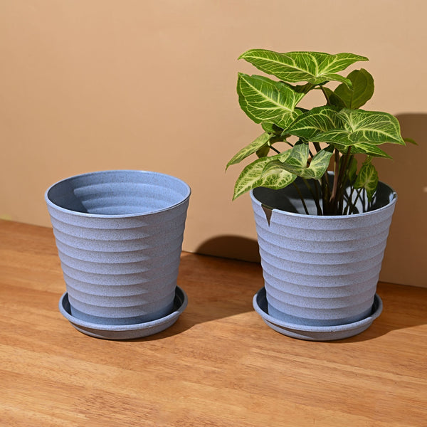 Earth Friendly Planters Linea 5.5 Inch | Set of 2
