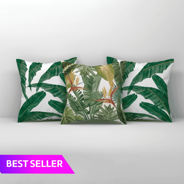 Bird of Paradise X Bliss Banana | Set of 3