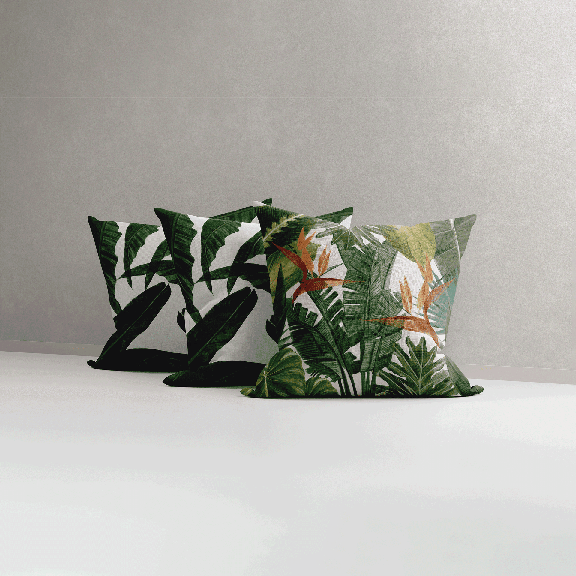 Bird of Paradise X Bliss Banana | Set of 3