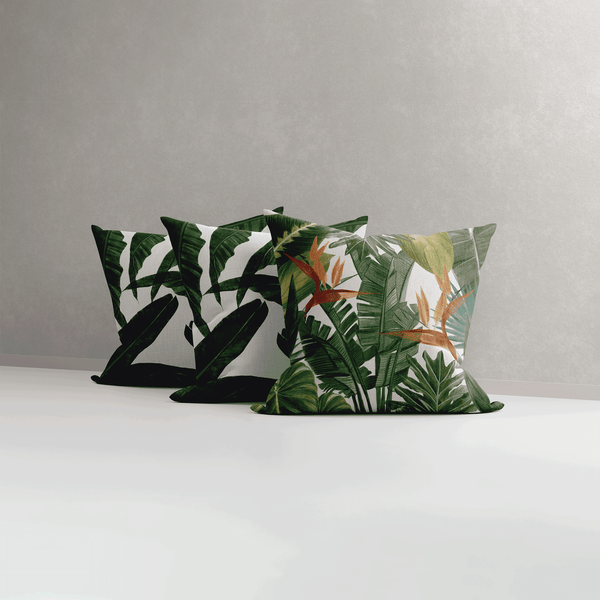 Bird of Paradise X Bliss Banana | Set of 3