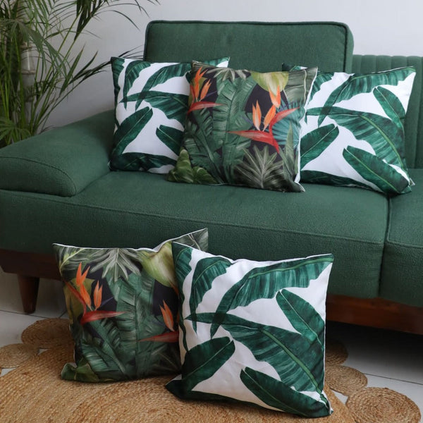 Bird of Paradise Night X Bliss Banana - Combo - Set of 5