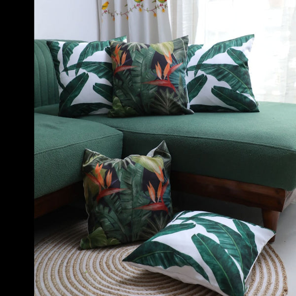 Bird of Paradise Night X Bliss Banana - Combo - Set of 5