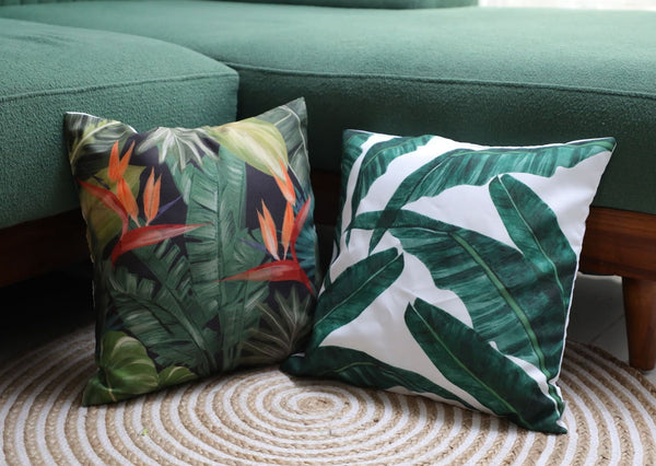 Bird of Paradise Night X Bliss Banana - Combo - Set of 5