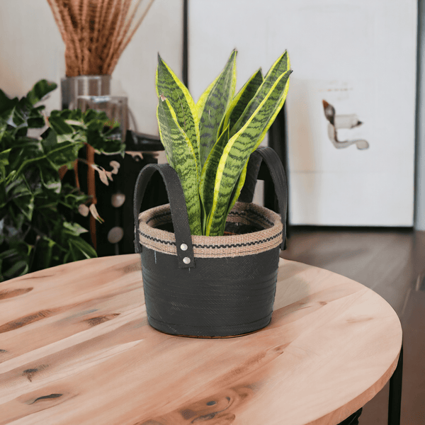 Eco-Revive Recycled Tire Planter - Lushlyf's Green Living Series