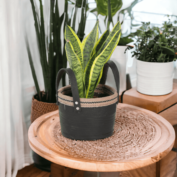 Eco-Revive Recycled Tire Planter - Lushlyf's Green Living Series