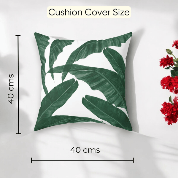 Our Lady Beetle Night X Bliss Banana Combo - Set of 5