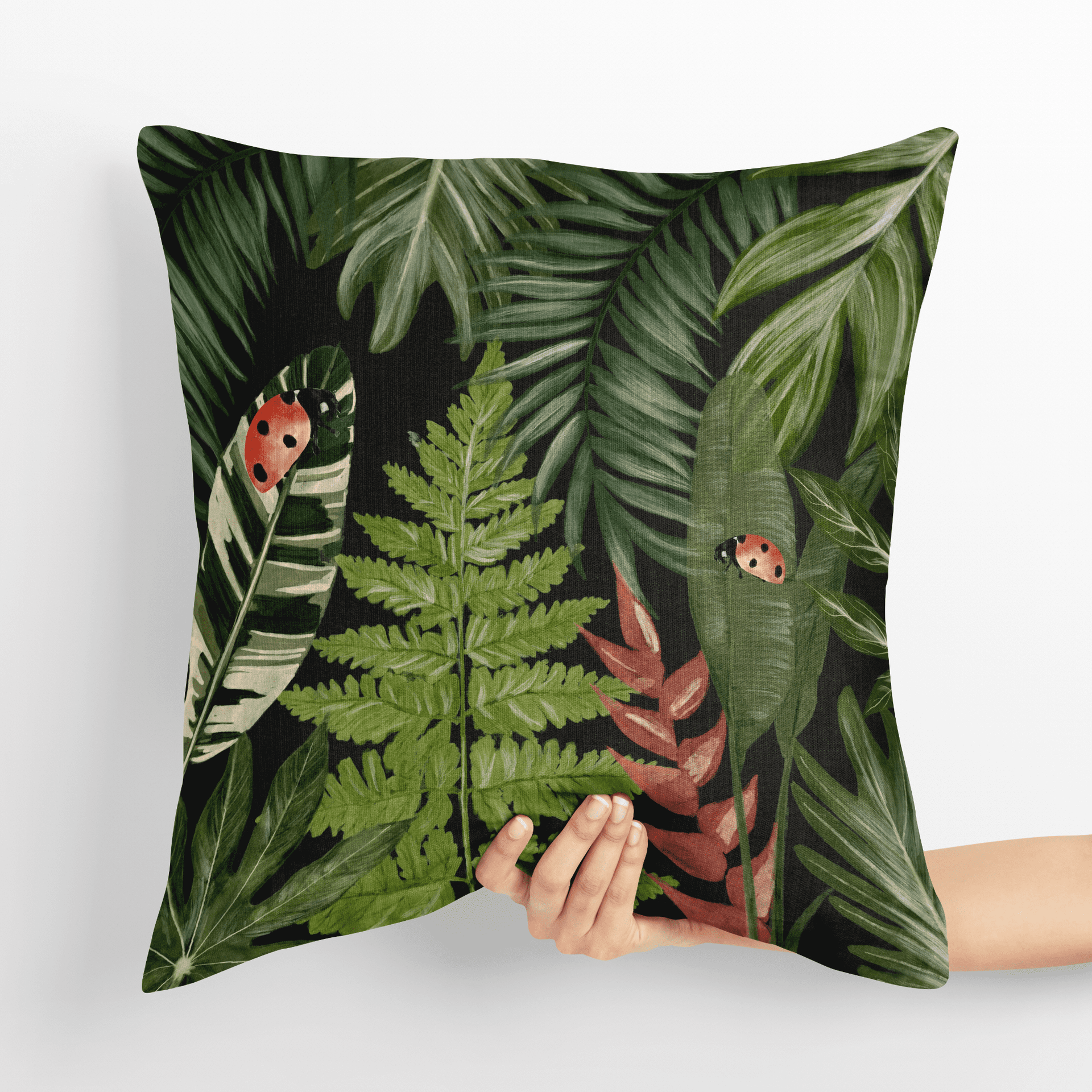 Our Lady Beetle - Night