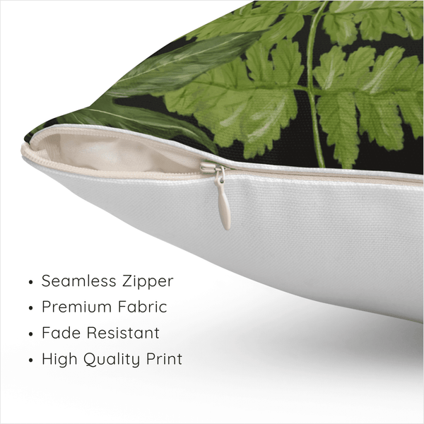 Our Lady Beetle - Night