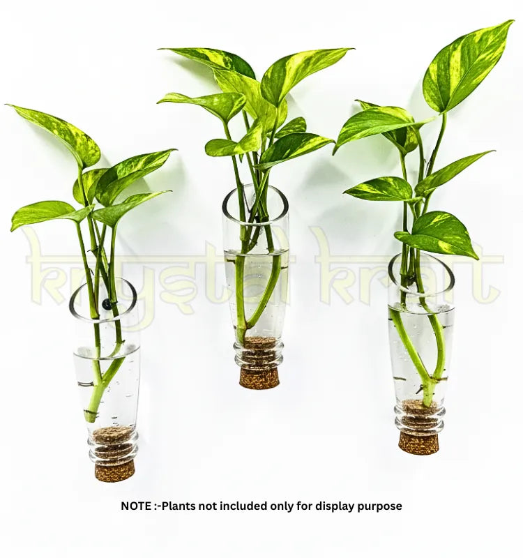 Eco-Chic Mini Glass Planter Fridge Magnets set of 3 – Krystal Kraft