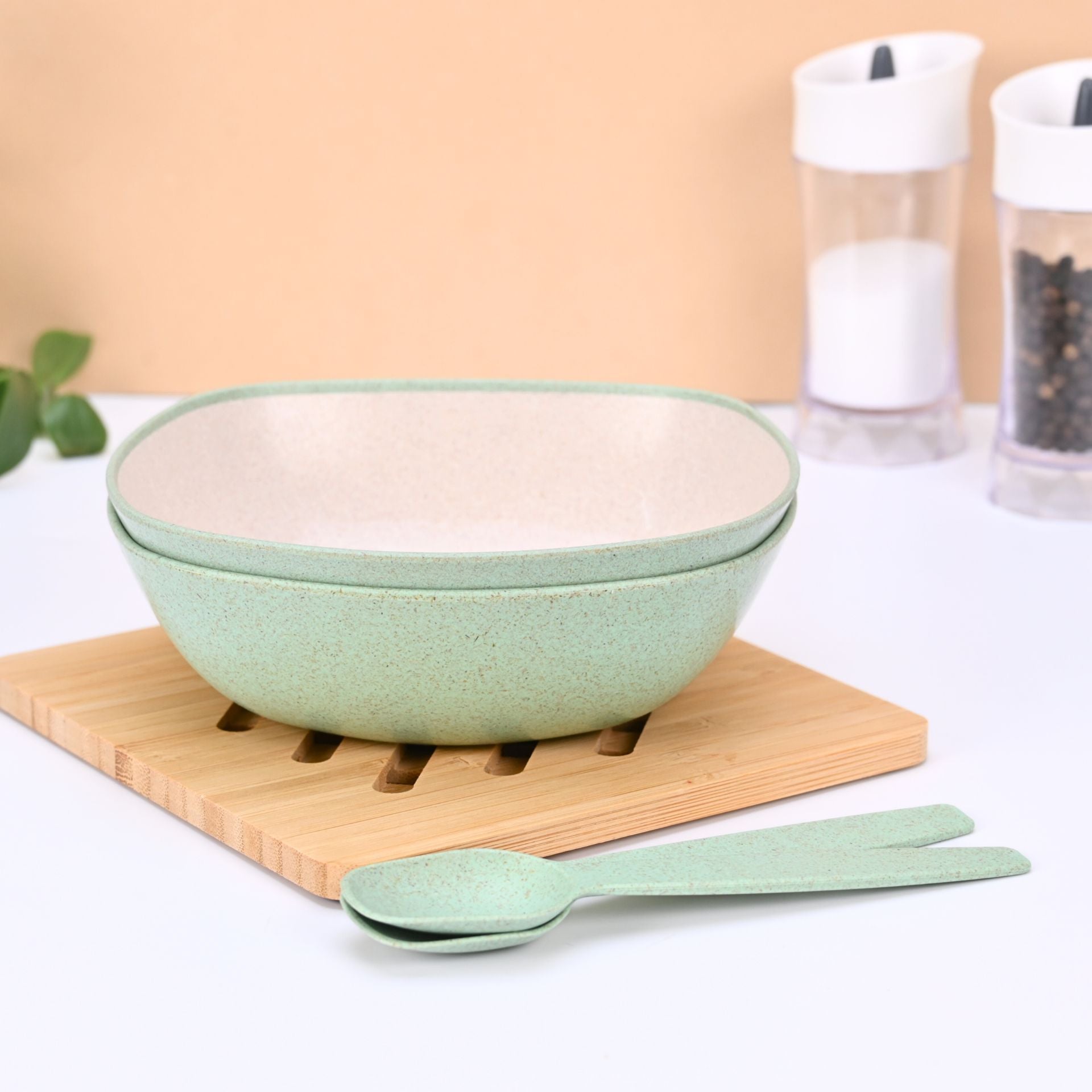 Pasta Bowl 750 ml set of 2 | Earth friendly Unbreakable bowls with Spoon