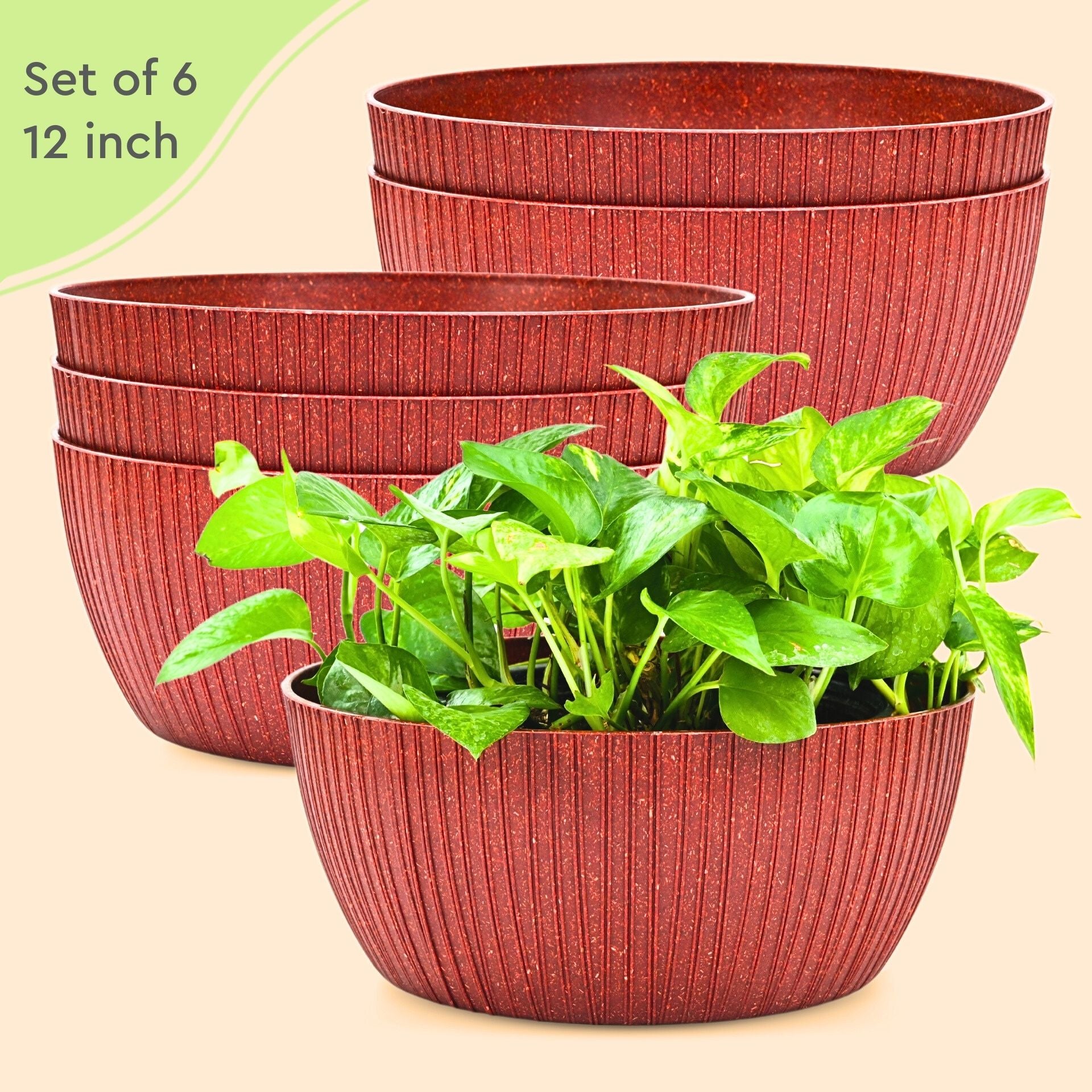 Earth Friendly Planters Nature nest Round 12 Inch set of 6 | Bamboo Based Pots and Planters
