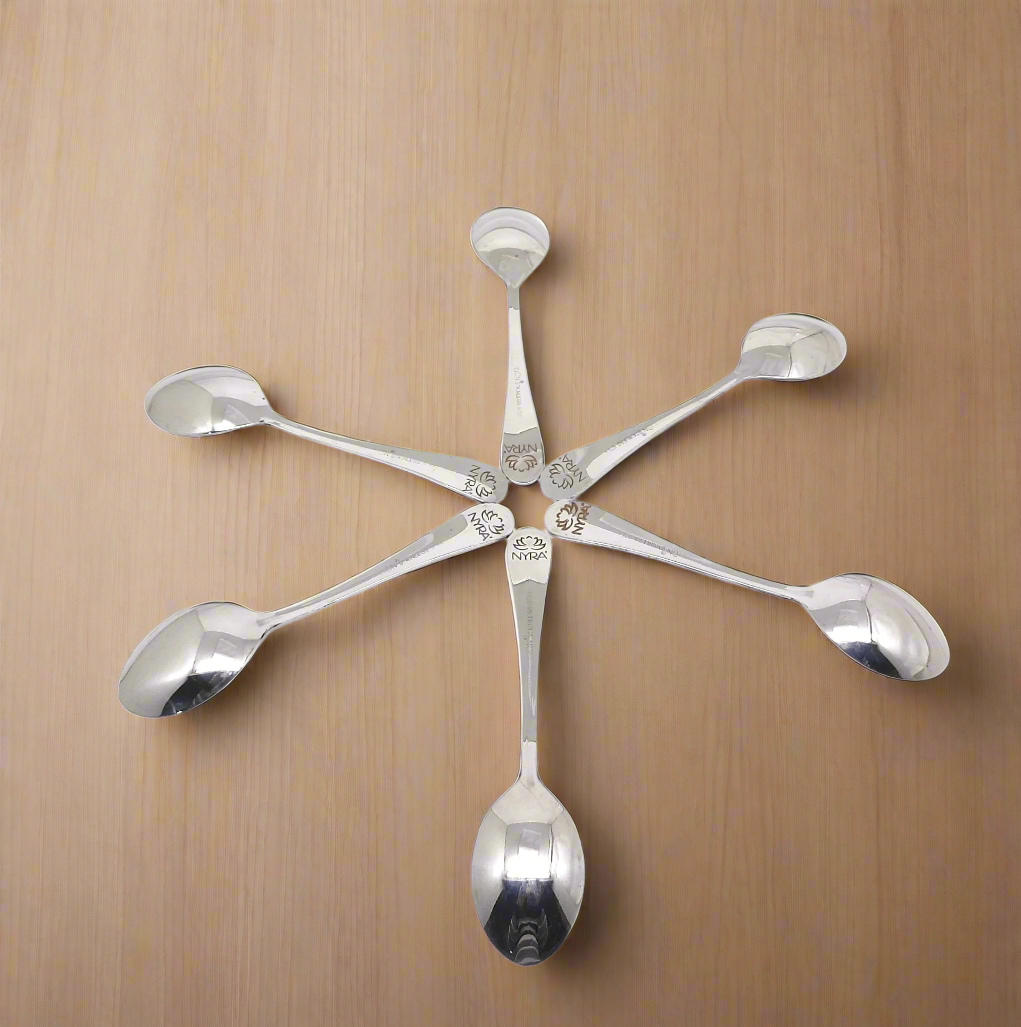 Stainless Steel Spoons Set of 6