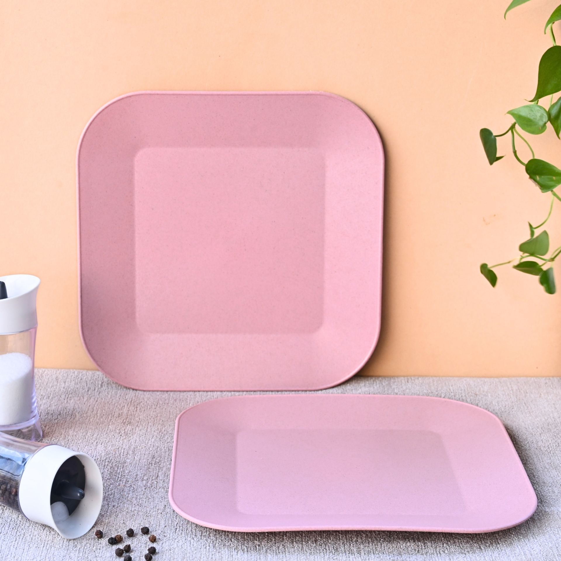 Picnic Plate 9 inch set of 2 | Earth friendly Unbreakable Plates Made with Bamboo Fibers & Rice Husk Fiber