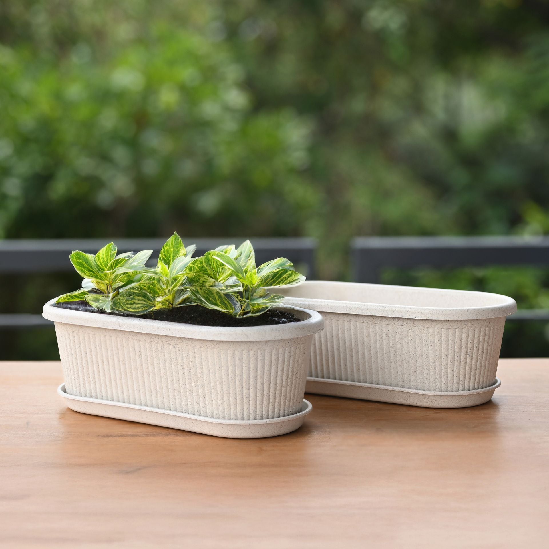 Earth-Friendly Planters Regalia 12 Inch set of 2 | Bamboo Based Pots and Planters