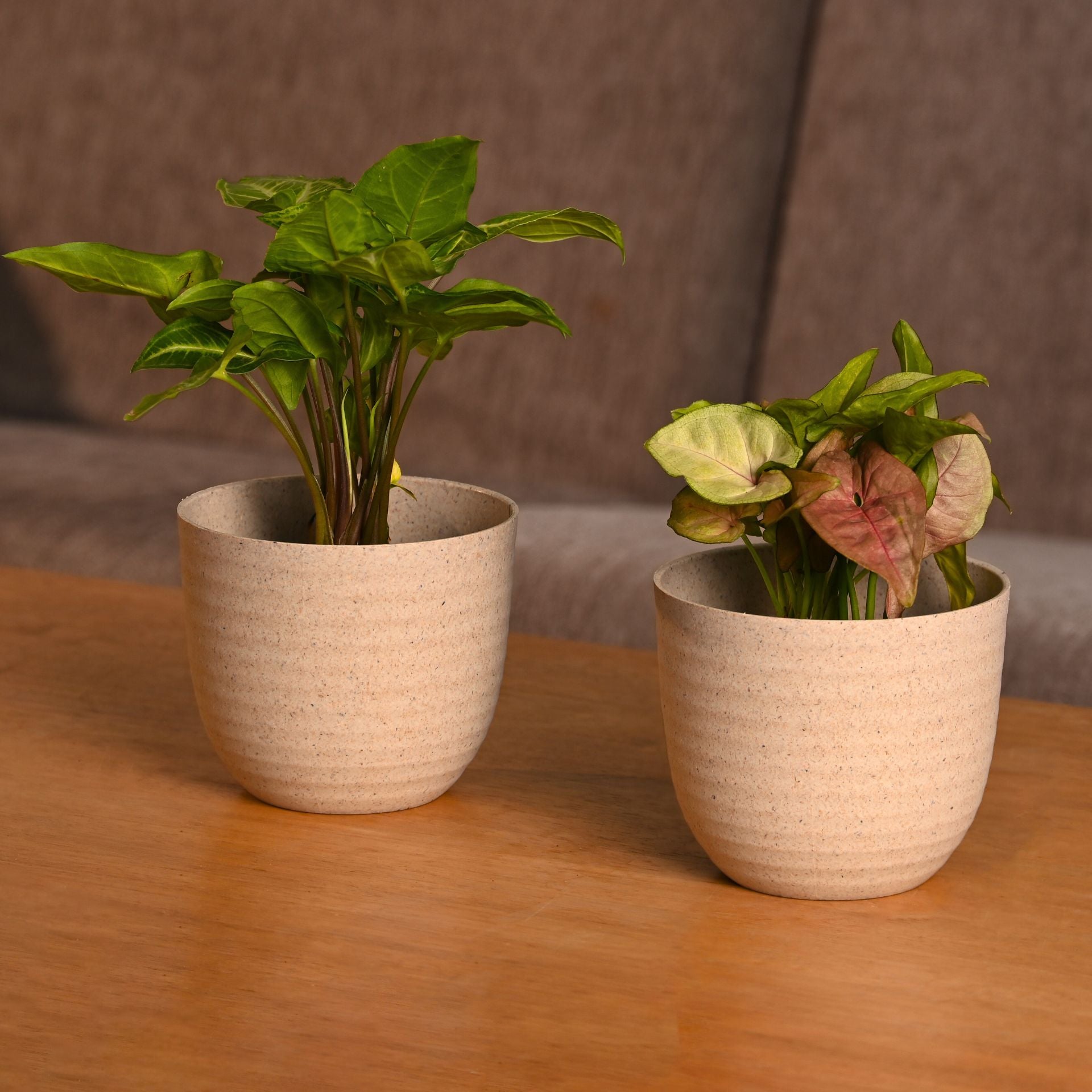 Earth-Friendly Planters Verona 4 Inch set of 2 | Bamboo Based Pots and Planters