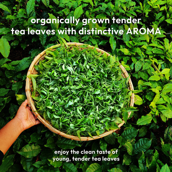 Rare Green Tea + Spearmint (PCOS Care)- Fresh Harvest