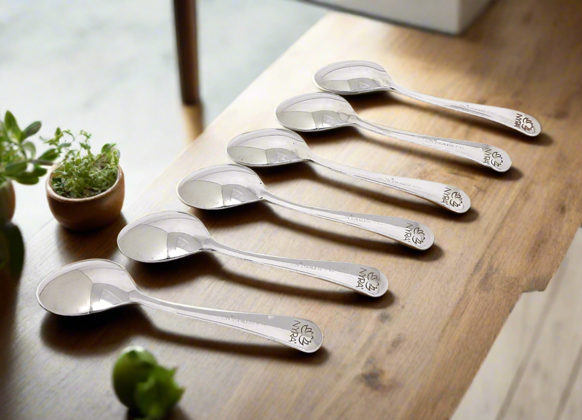 Stainless Steel Spoons Set of 6