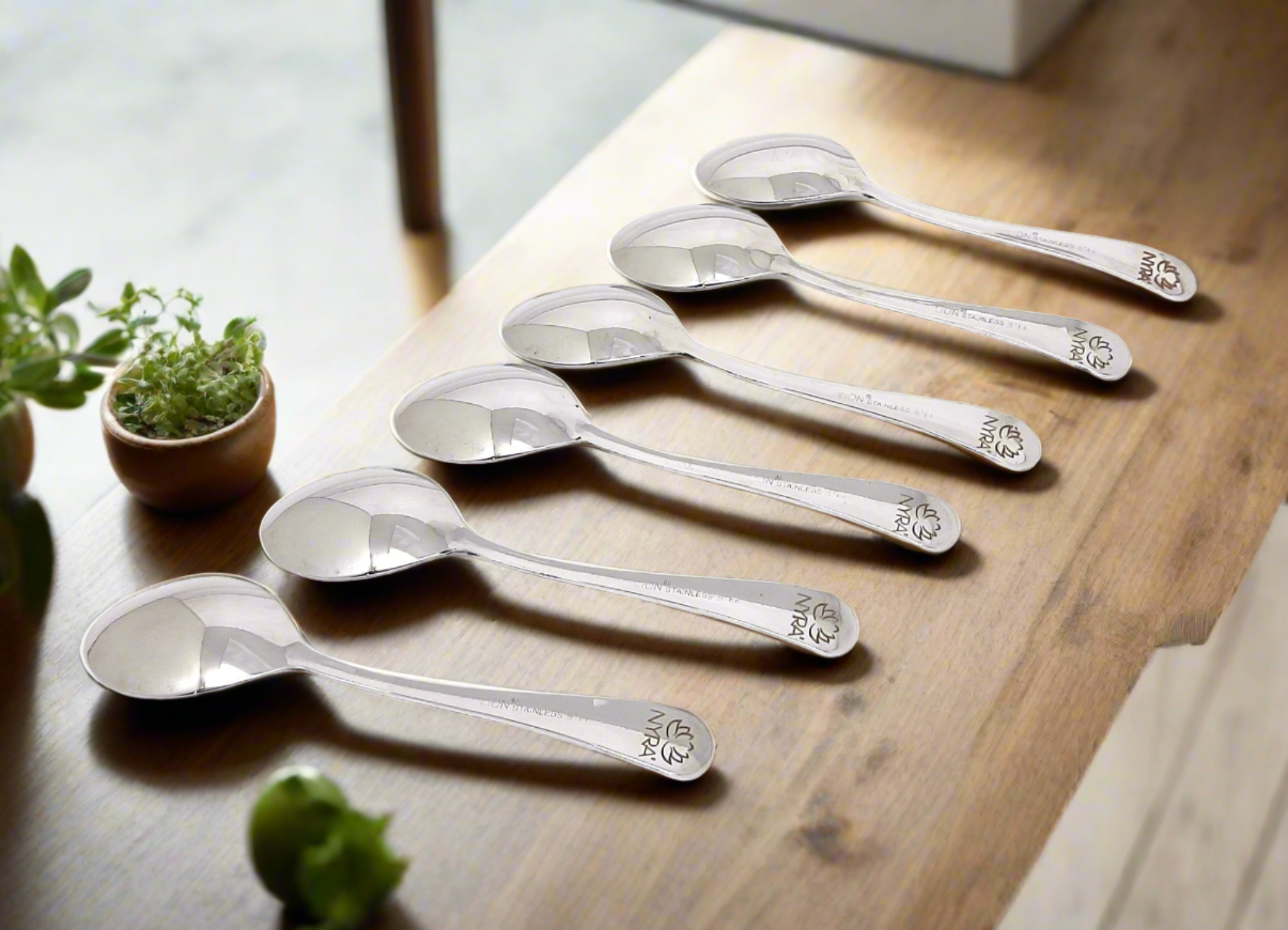 Stainless Steel Spoons Set of 6