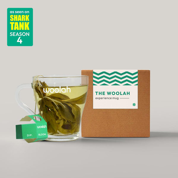 Woolah Experience Mug@Rs.00/-