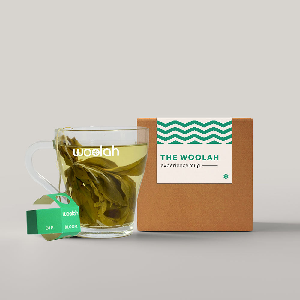 Woolah Experience Mug (Transparent, 280ml)