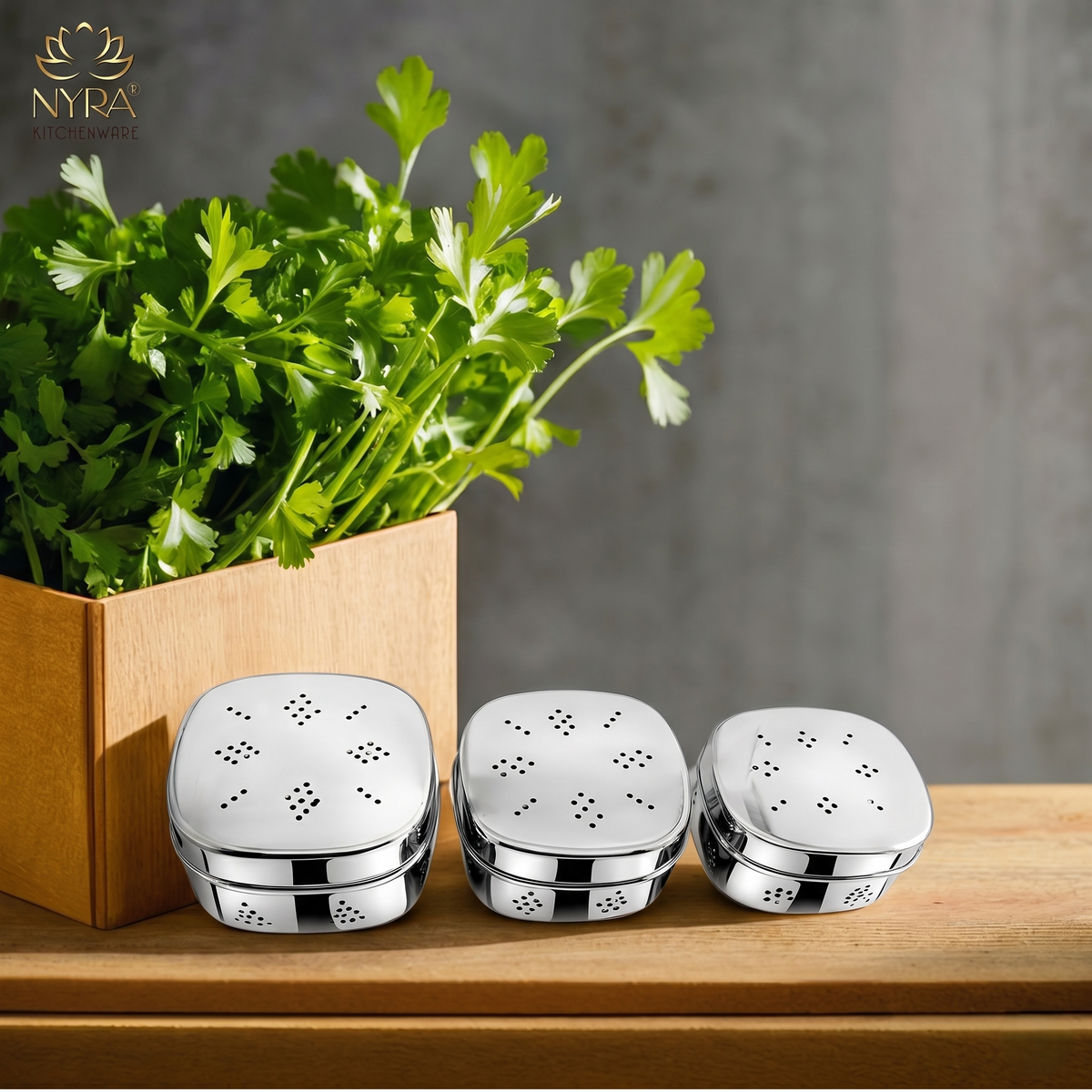 Stainless Steel Square-shaped Coriander/ Multipurpose Storage Container with Air Ventilation Holes - Set of 3 Pcs